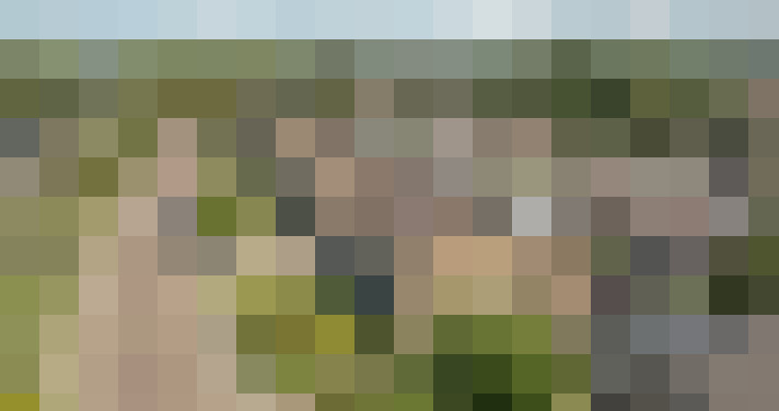 Image 20