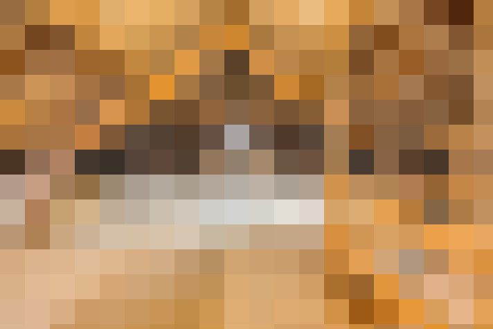 Image 25
