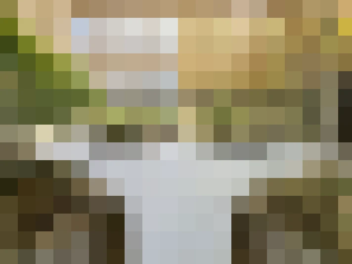 Image 24