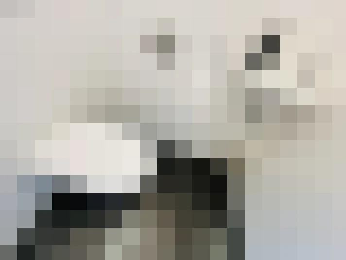 Image 17