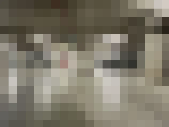 Image 26