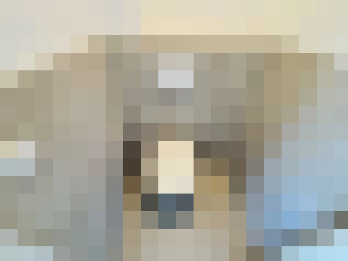 Image 51