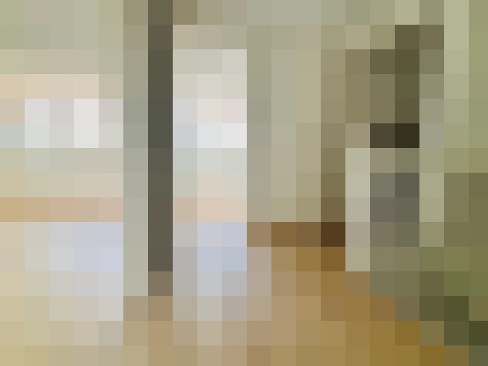 Image 28