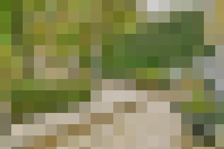 Image 22
