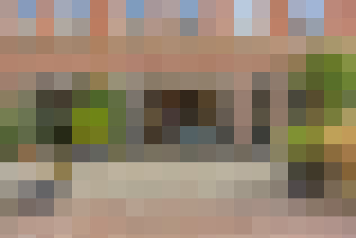 Image 50