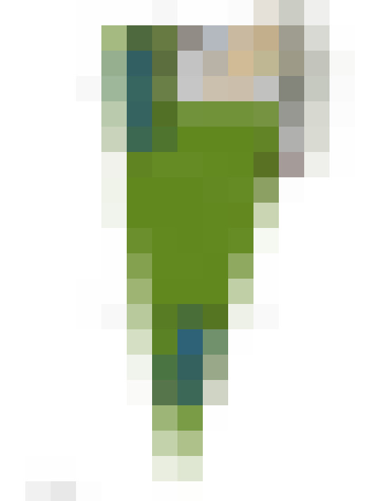 Image 66