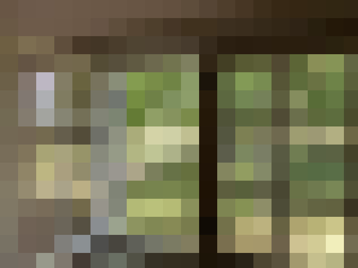 Image 32