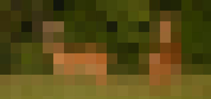 Image 61