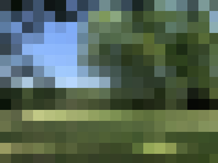 Image 59