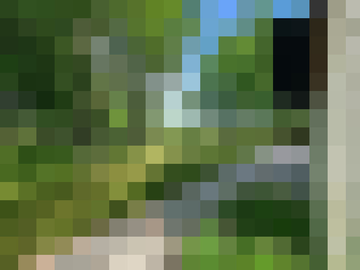 Image 58