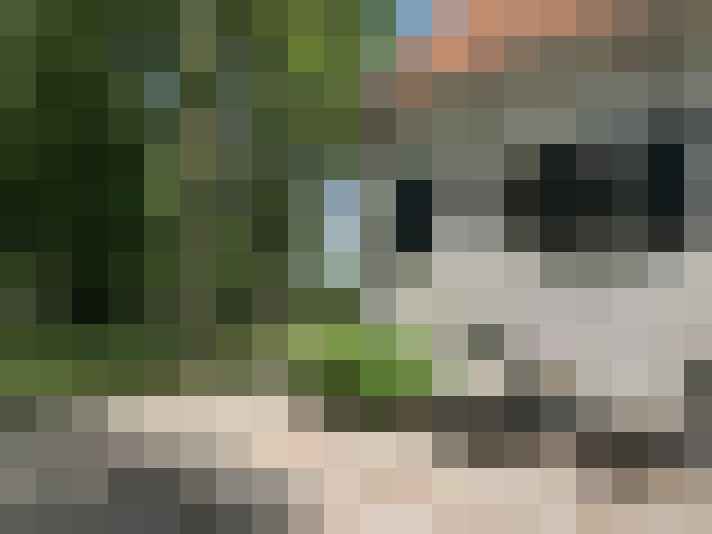 Image 57
