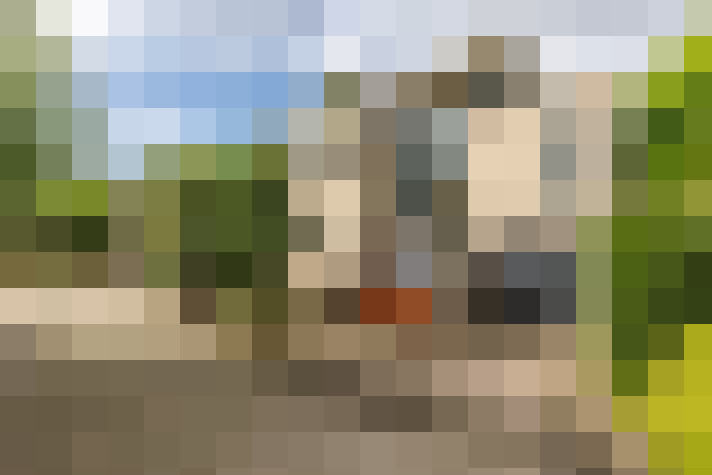 Image 30