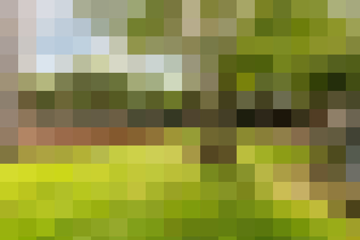 Image 18