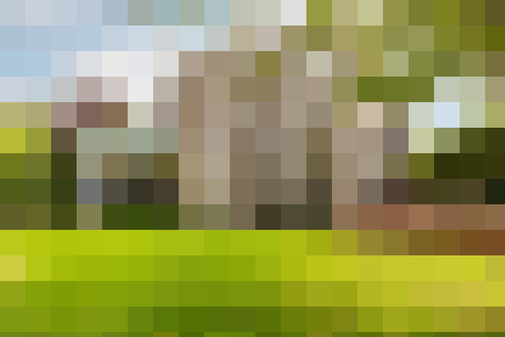 Image 17