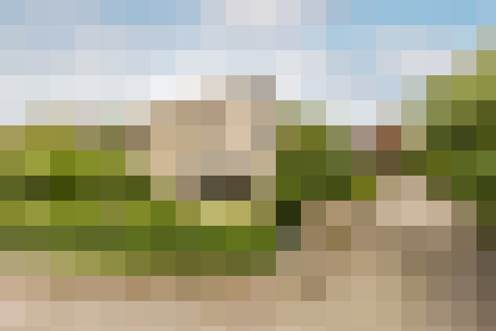Image 31