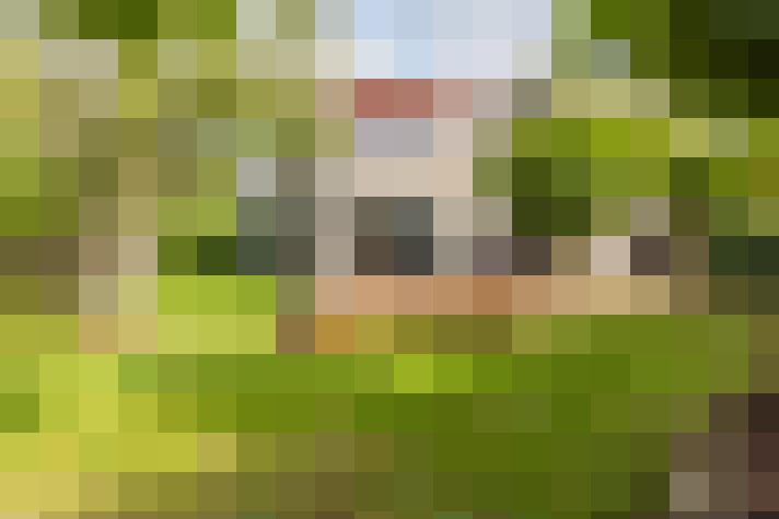 Image 15