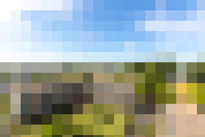 Image 20
