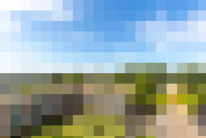 Image 18