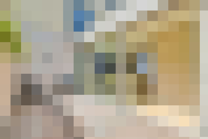 Image 29