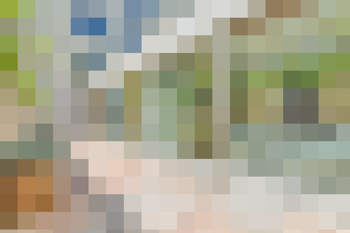 Image 30