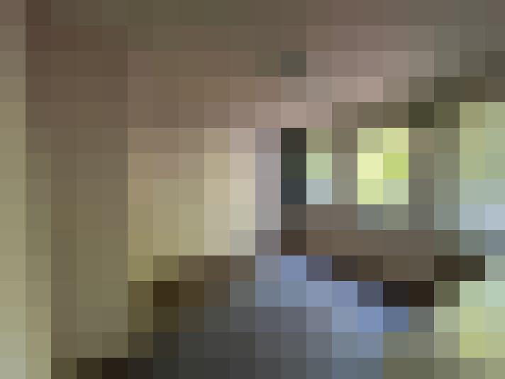 Image 17