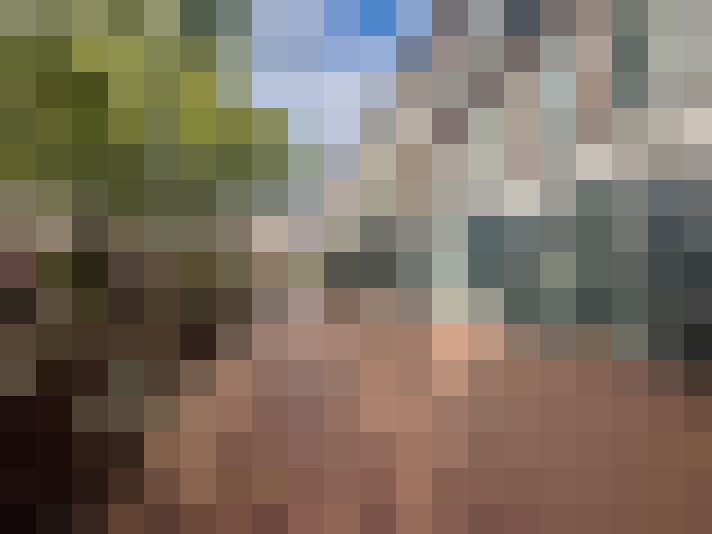 Image 28