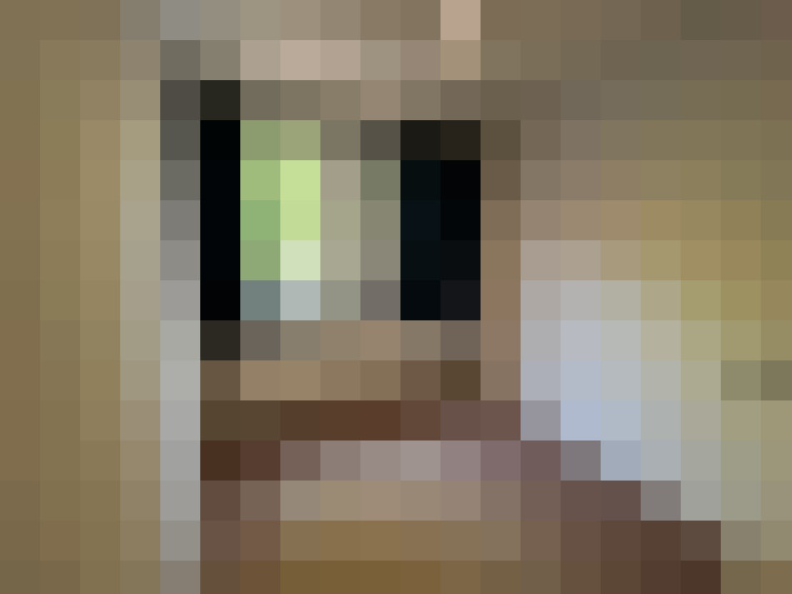Image 20