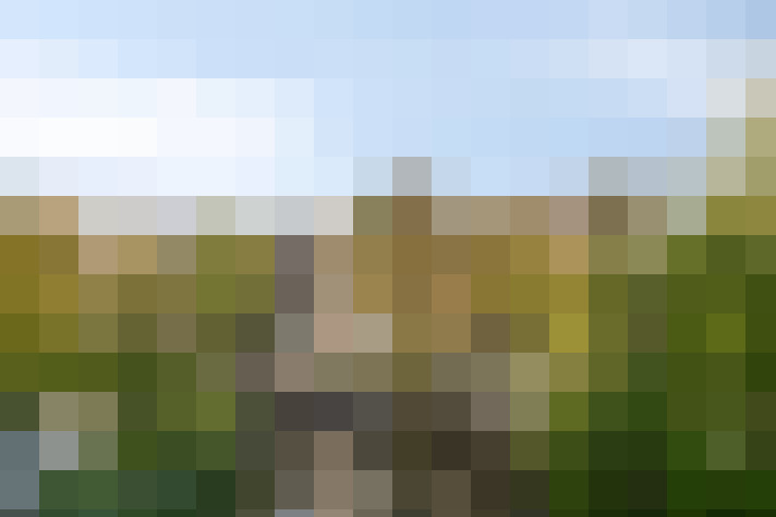 Image 34