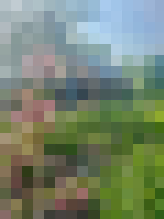 Image 17
