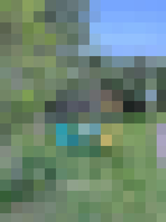 Image 40