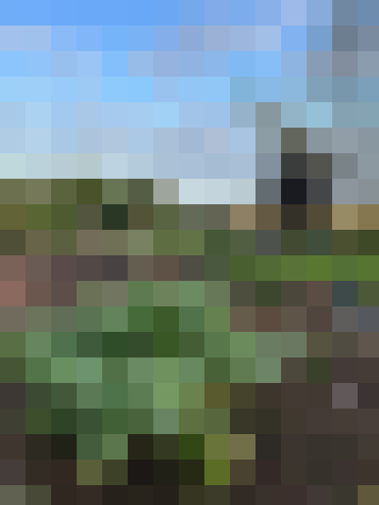 Image 37
