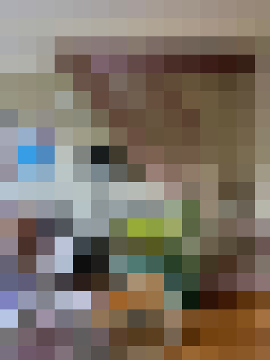 Image 33