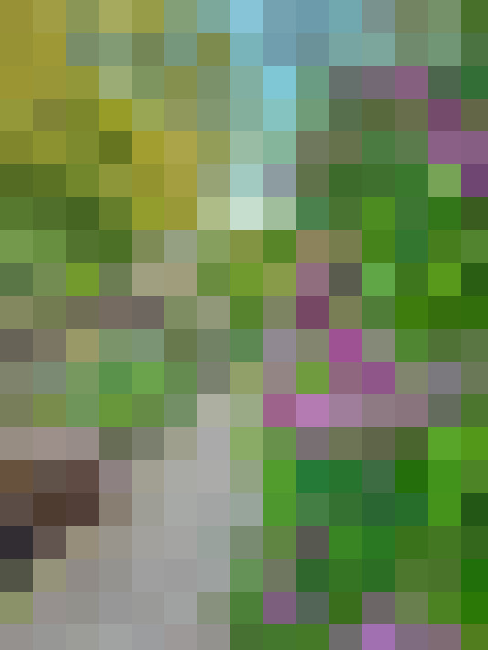 Image 22