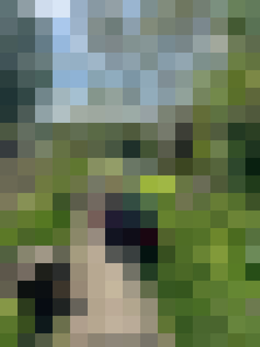 Image 41