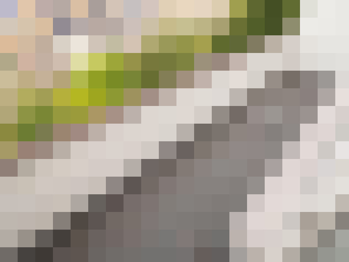Image 23