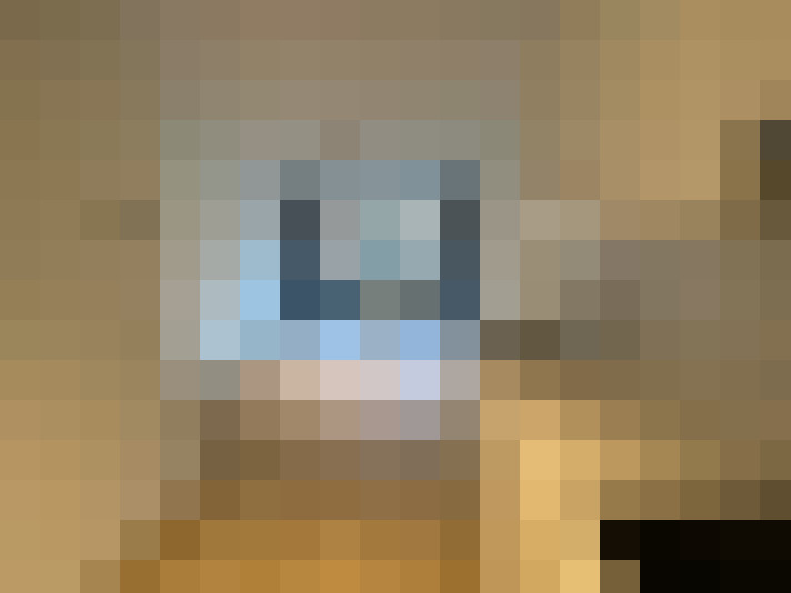  / #15