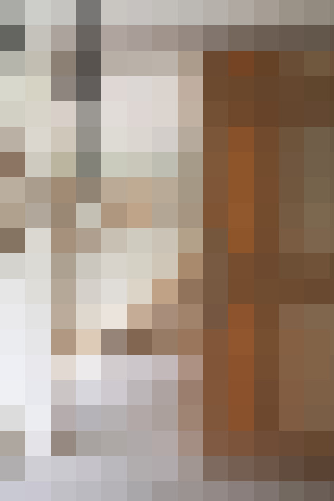 Image 42