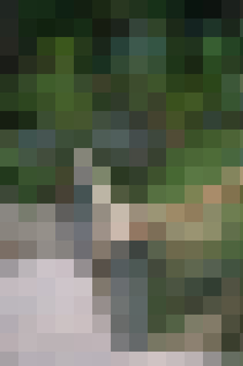 Image 57