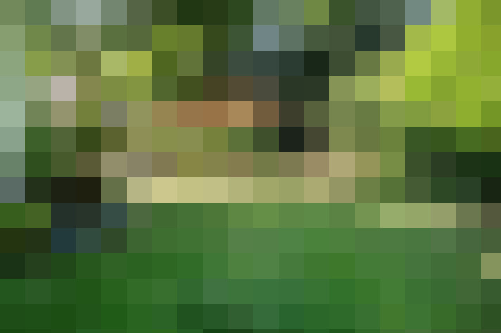 Image 53