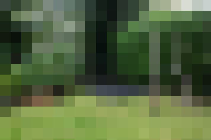 Image 56
