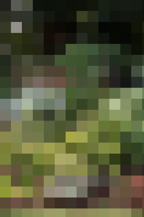 Image 52