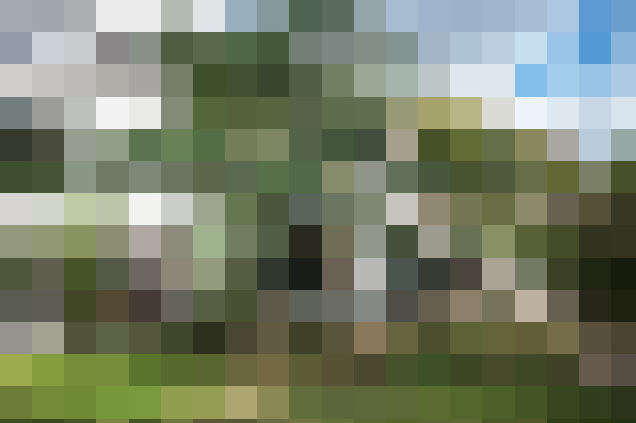 Image 54