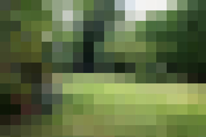 Image 55