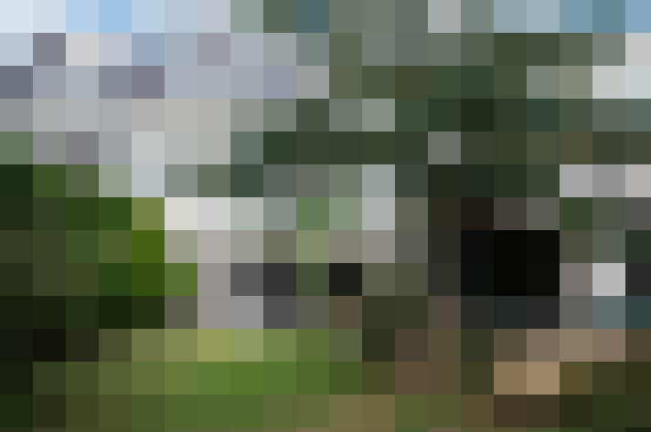 Image 51