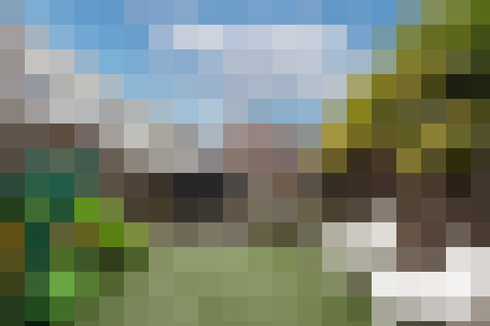 Image 16