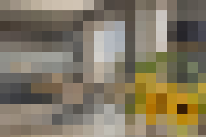 Image 13