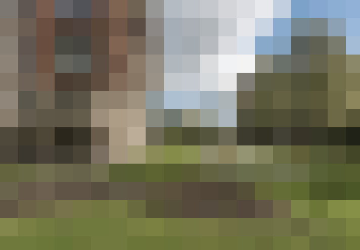 Image 16