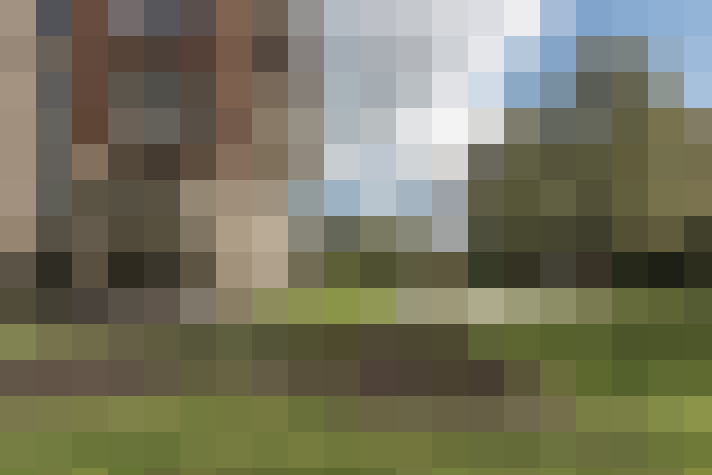 Image 15