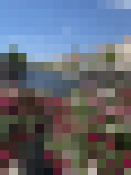 Image 30