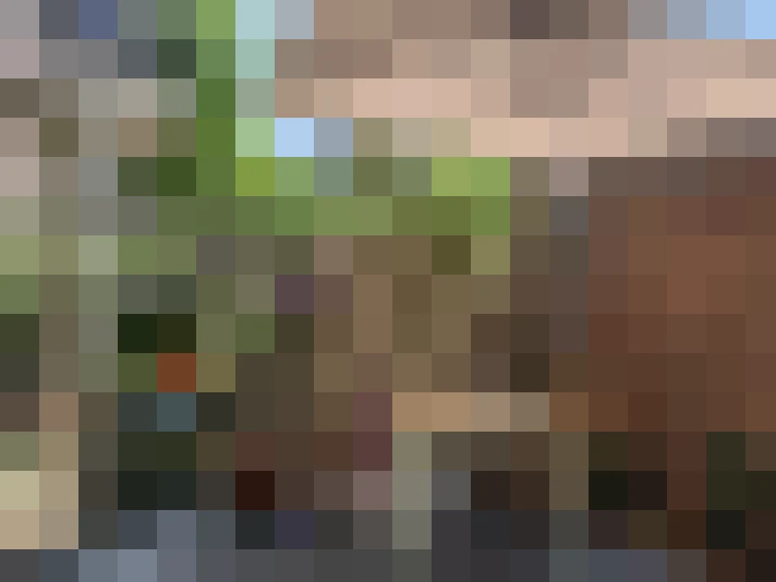 Image 23